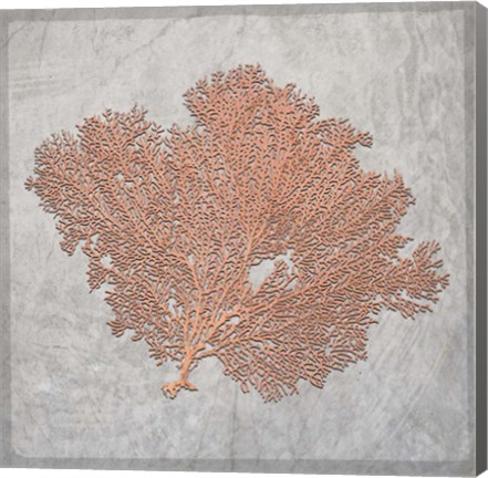 Framed Decorative Sea Leaf 3 Print