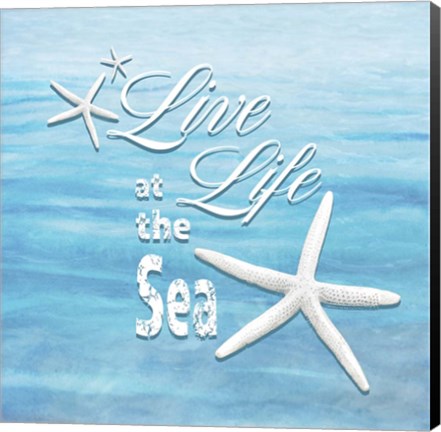 Framed Free Gypsy Sea 1 Print