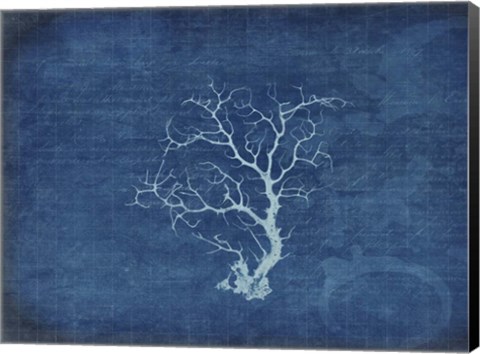 Framed Gypsy Blue Cyanotype V2 Print