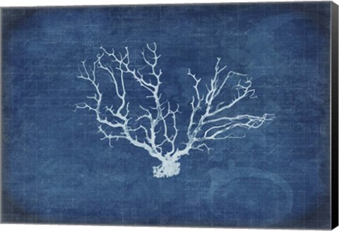 Framed Gypsy Blue Cyanotype V3 Print