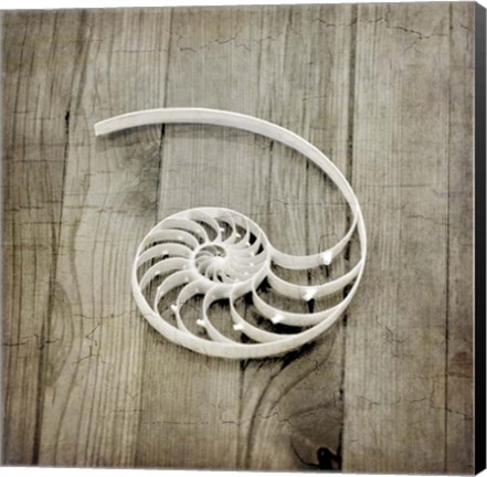 Framed Gypsy Sea 2 Print