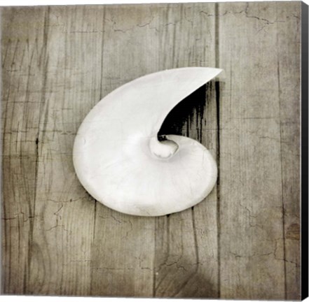 Framed Gypsy Sea 3 Print