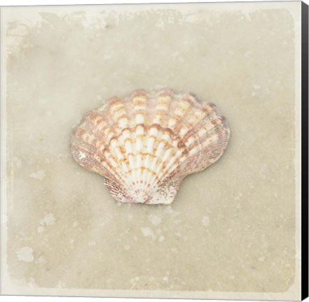 Framed Gypsy Sea Brown 1 Print