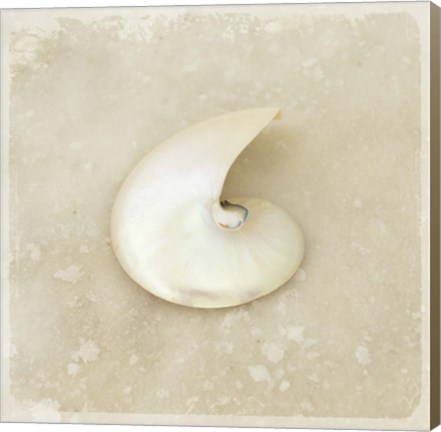 Framed Gypsy Sea Brown 2 Print