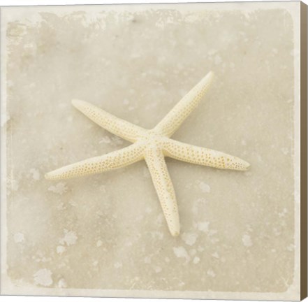 Framed Gypsy Sea Brown 3 Print