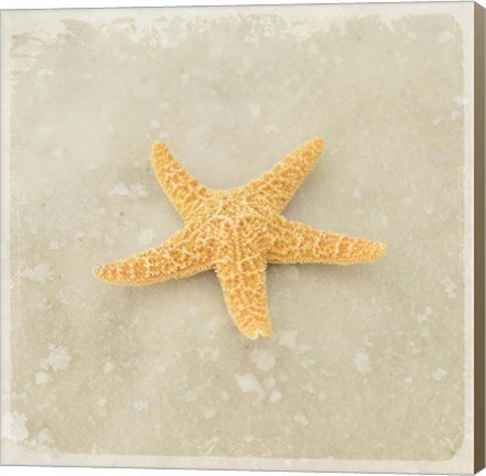 Framed Gypsy Sea Brown 4 Print