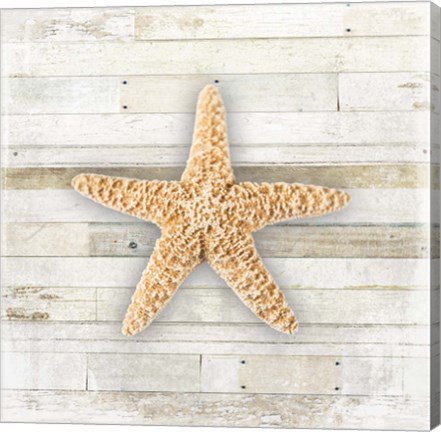 Framed Gypsy Sea Coastal 2 Print