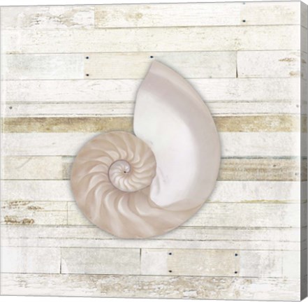 Framed Gypsy Sea Coastal 3 Print