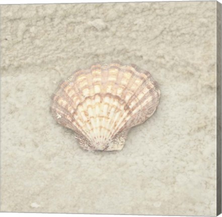 Framed Gypsy Sea Life 4 Print