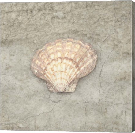 Framed Gypsy Sea Life V3 Print