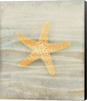 Framed Gypsy Star 1 Print