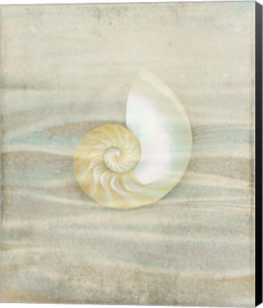 Framed Gypsy Star 2 Print