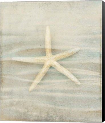 Framed Gypsy Star 3 Print