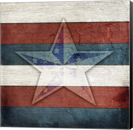 Framed American Freedom Collection V4 Print