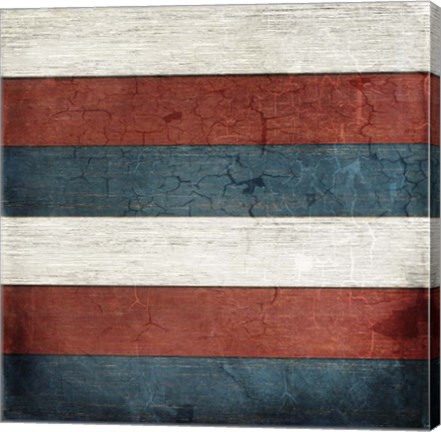 Framed American Freedom Collection V7 Print