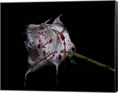 Framed Bleeding Rose Print