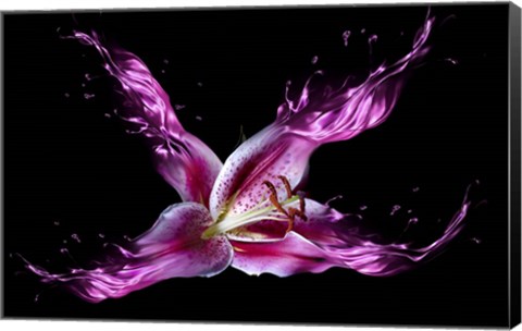 Framed Liquid Lilly Print