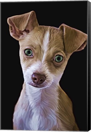 Framed Chihuahua Print