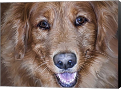 Framed Golden Retriever Print