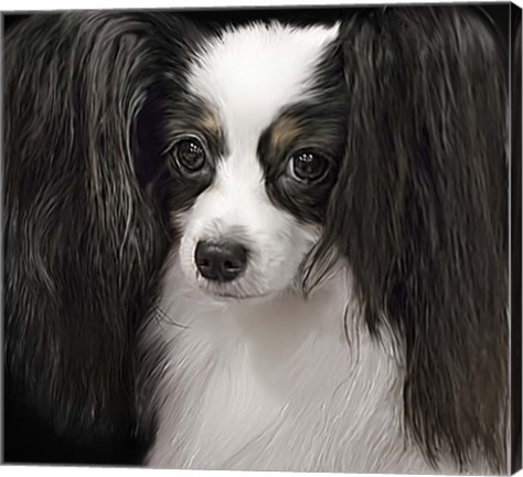 Framed Papillion Print