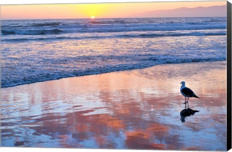 Framed Venice Beach Sunset Print