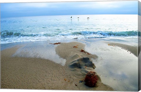 Framed Zuma Beach, Ca Print