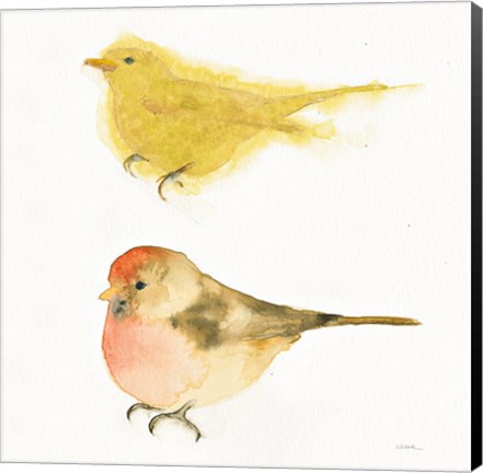 Framed Watercolor Birds I Sq Print