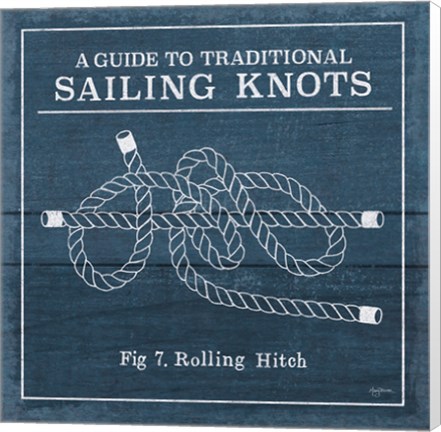 Framed Vintage Sailing Knots VIII Print