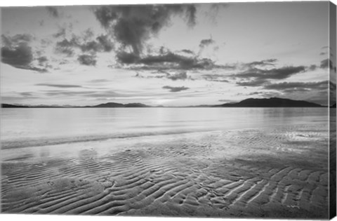 Framed Samish Bay Sunset II BW Print