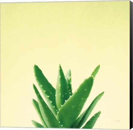 Framed Succulent Simplicity V Print