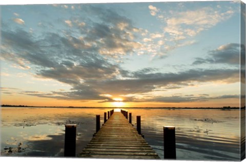 Framed Morning Lights on a Jetty Print