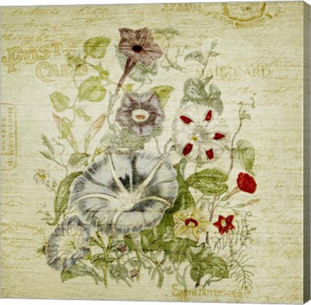 Framed Flower Print Five Print
