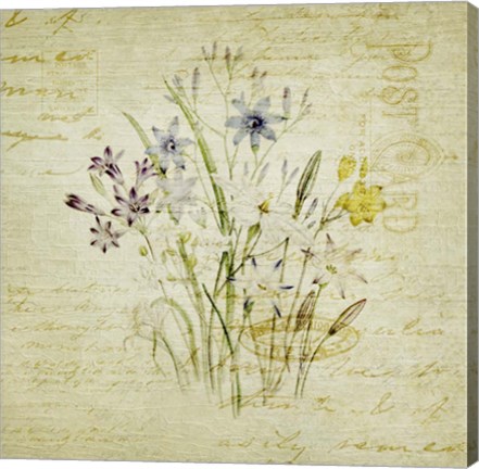Framed Flower Print Four Print