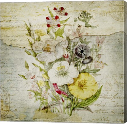 Framed Flower Print Grunge Two Print