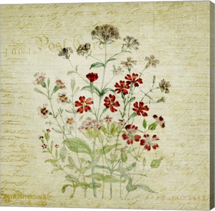 Framed Flower Print Three Print