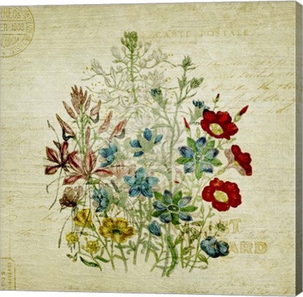 Framed Flower Print Two Print