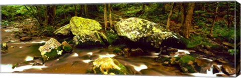 Framed Stream flowing through a Forest, Great Smoky Mountains National Park, Tennessee Print