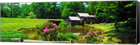 Framed Trees around a Watermill, Mabry Mill, Blue Ridge Parkway, Floyd County, Virginia Print