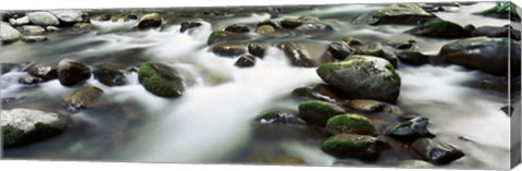 Framed Rocks in Little Pigeon River, Great Smoky Mountains National Park, Tennessee Print