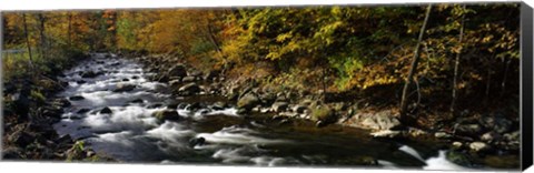 Framed River Flowing through a Forest, Chittenango Creek, New York State Print