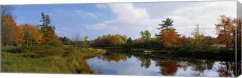 Framed Lake in a forest, Mount Desert Island, Hancock County, Maine Print