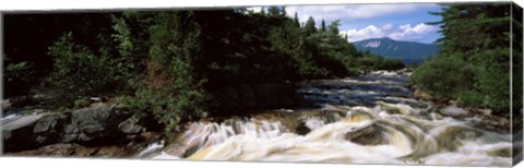 Framed Stream flowing through a Forest, Little Niagara Falls, Maine Print