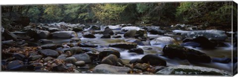 Framed Rocks in a River, Great Smoky Mountains National Park, Tennessee Print