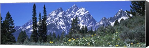 Framed Forest with Mountains in Grand Teton National Park, Wyoming Print