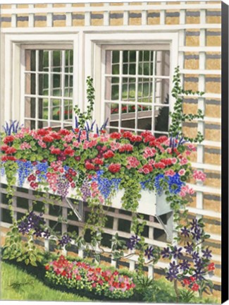 Framed Butchart Gardens Window Box Print
