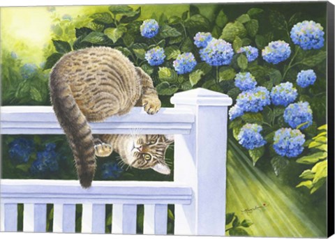 Framed Peek-a-Boo Print