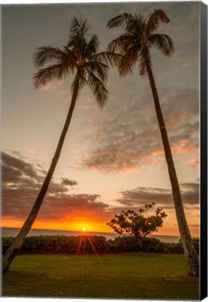 Framed Sunset Palms II Print