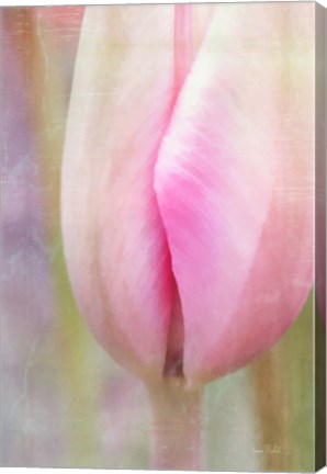 Framed Spring Beauty III Print