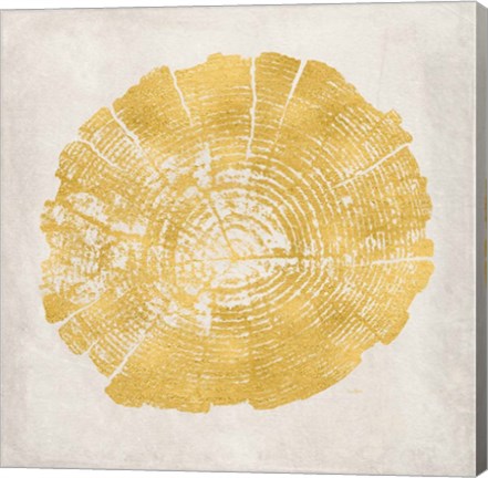 Framed Tree Stump Golden I Print