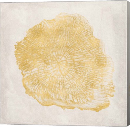Framed Tree Stump Golden III Print
